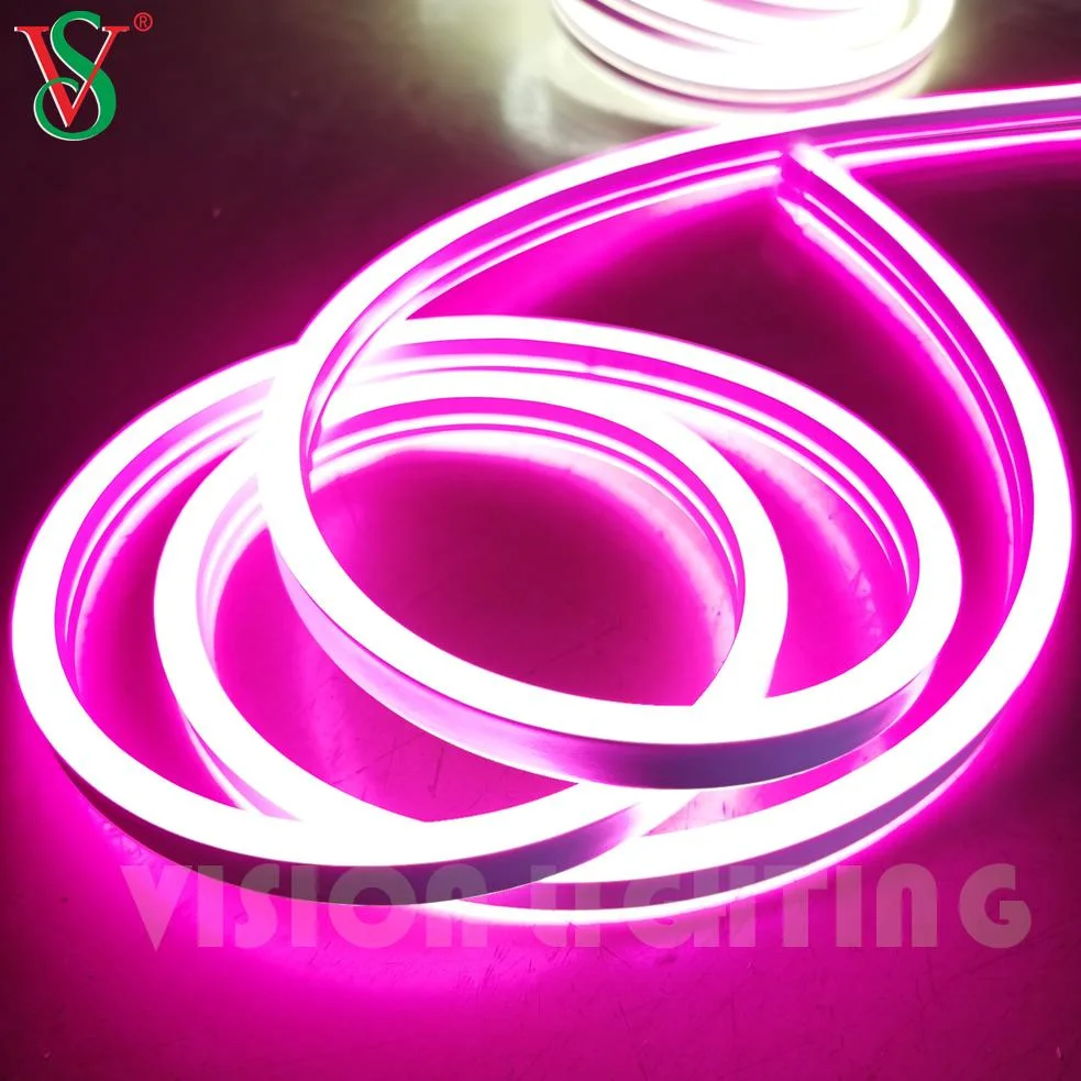 High Voltage Good Quality LED Neon Flex Light Outdoor Strip Lights