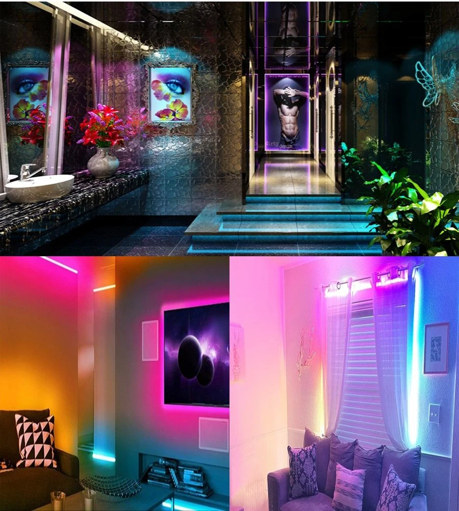 Csp RGBW Strip Light for Indoor Lighting Decoration with 840LEDs