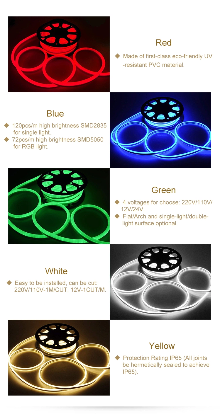 LED Neon Flex Strip Light