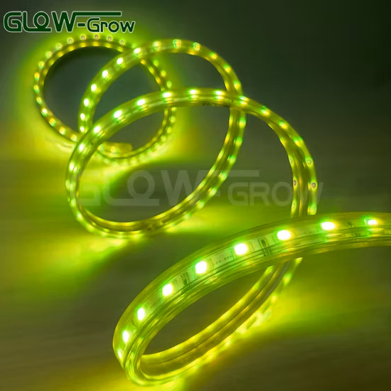 IP65 110 В 120 В 220 В 230 В переменного тока Светодиодная лента 5050 Высокое напряжение с регулируемой яркостью Гибкая водонепроницаемая цветная светодиодная лента RGB для коммерческого украшения коммерческого класса